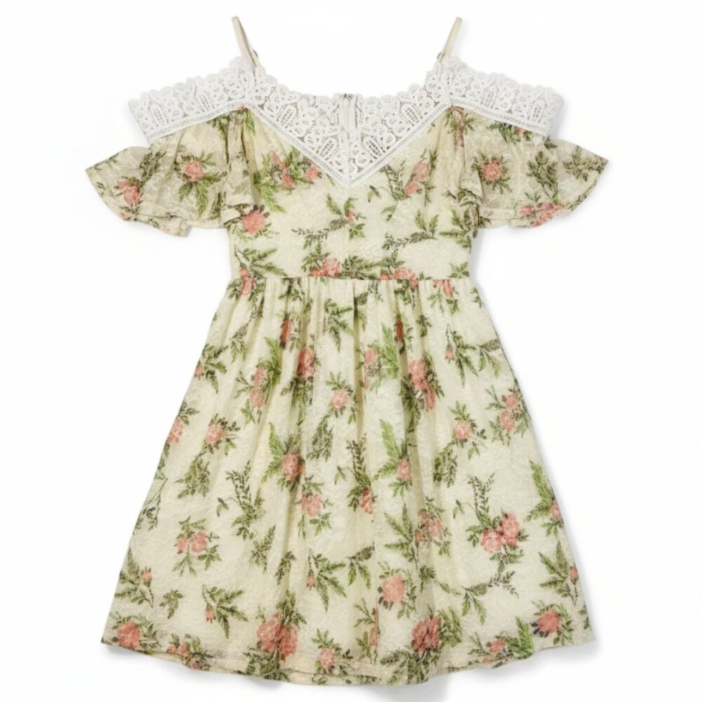 Disney Aurora Princess Dress Floral Lace Off Shoulder Girls 7 8 9